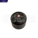 285-01-12411-WWW.UCE.IR
