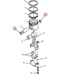 0406505220_20240114104657492848