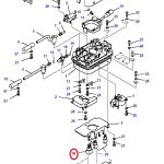 0805511481_20240812084820583047