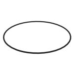 2M1309_20210428172351973663