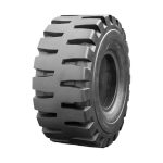 356533_20220515081218266631