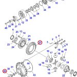 4252221201_20231112130854554860