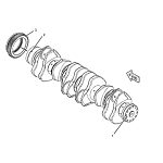 4302593_20210106082858505242