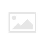 8S1965_20210731015246285416